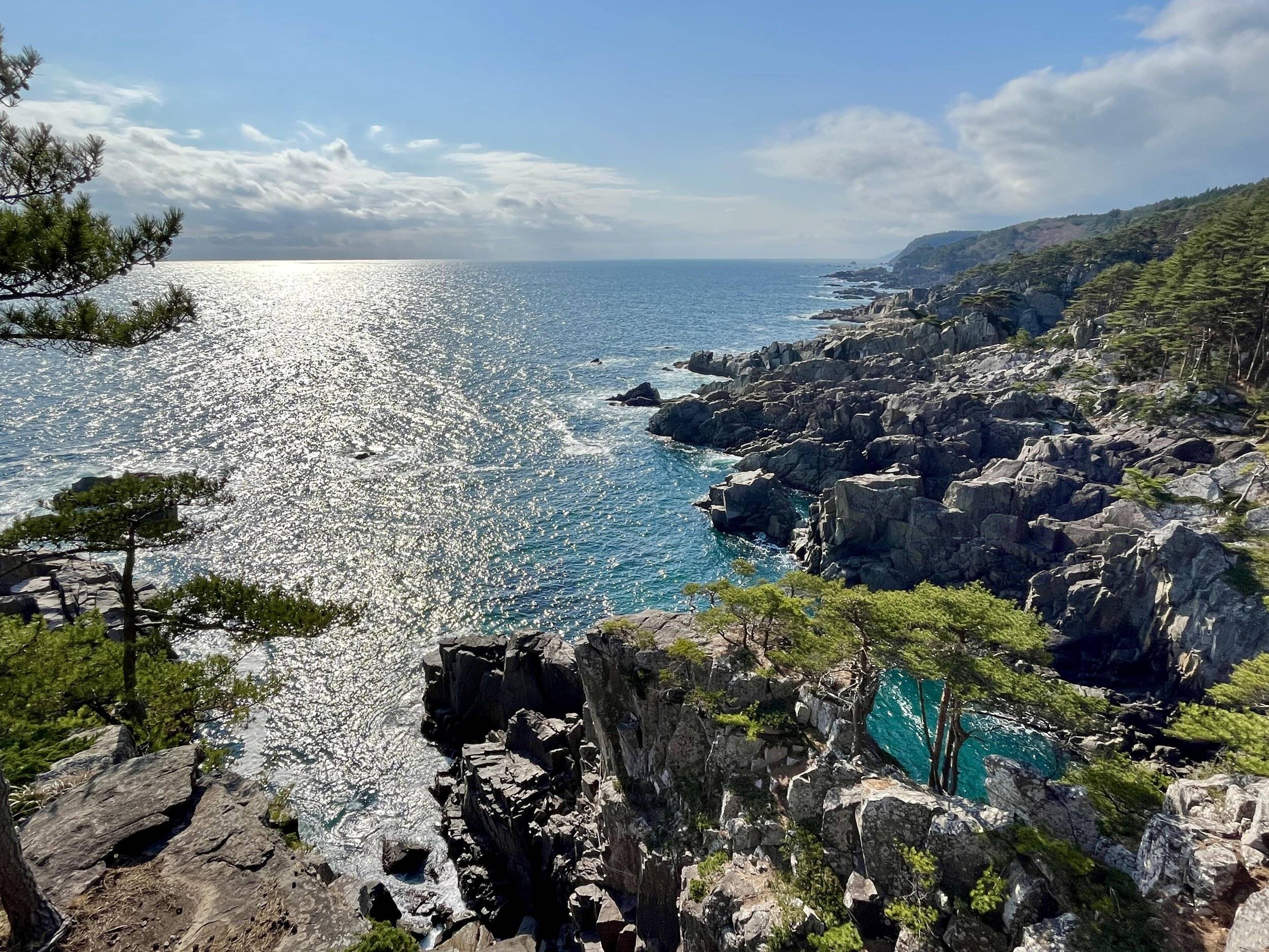 🏞️ 자연휴양림 스와자키 이미지 5